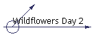 Wildflowers Day 2