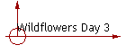 Wildflowers Day 3