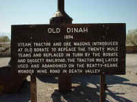 Dinah2.jpg (499298 bytes)